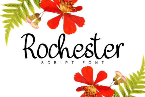Rochester Font: A Simple and Delicate Script Font for Beautiful Designs